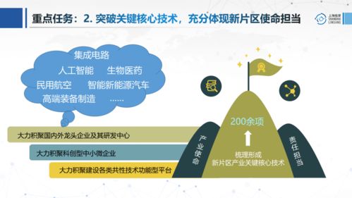 圖解 臨港新片區前沿產業發展“十四五”規劃之醫學研究和試驗發展